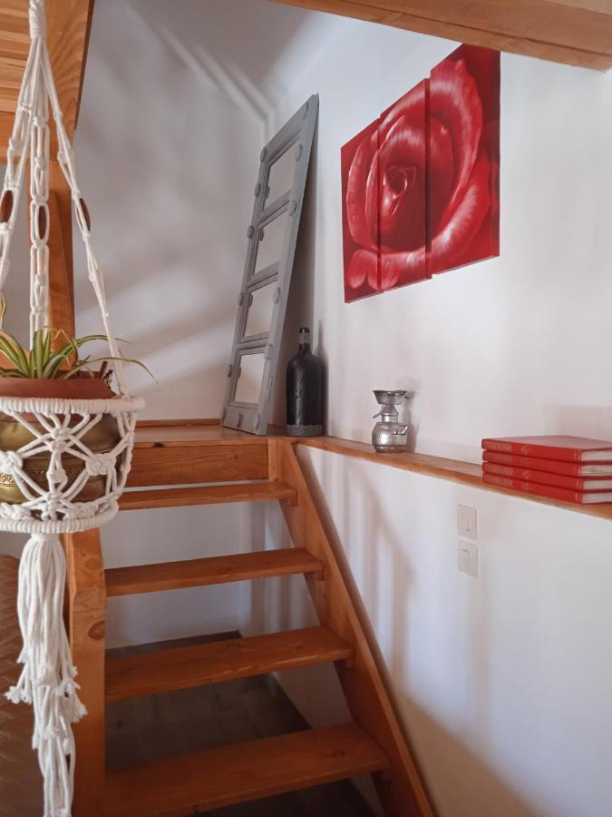 Charmante petite maison Bergerac Extérieur photo